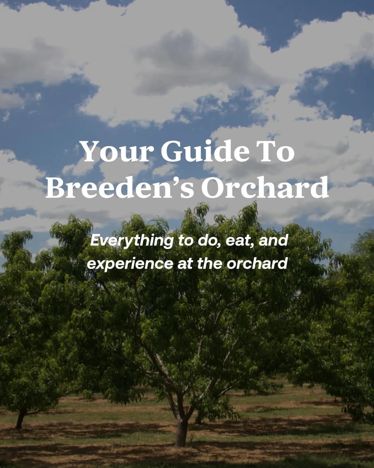 Breeden's Orchard — Apples farm in Mount Juliet, TN