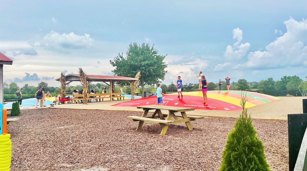 Evans Orchard & Cider Mill photo 4