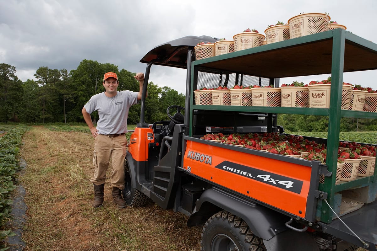 Jaemor Farms — Apples farm in Alto, GA