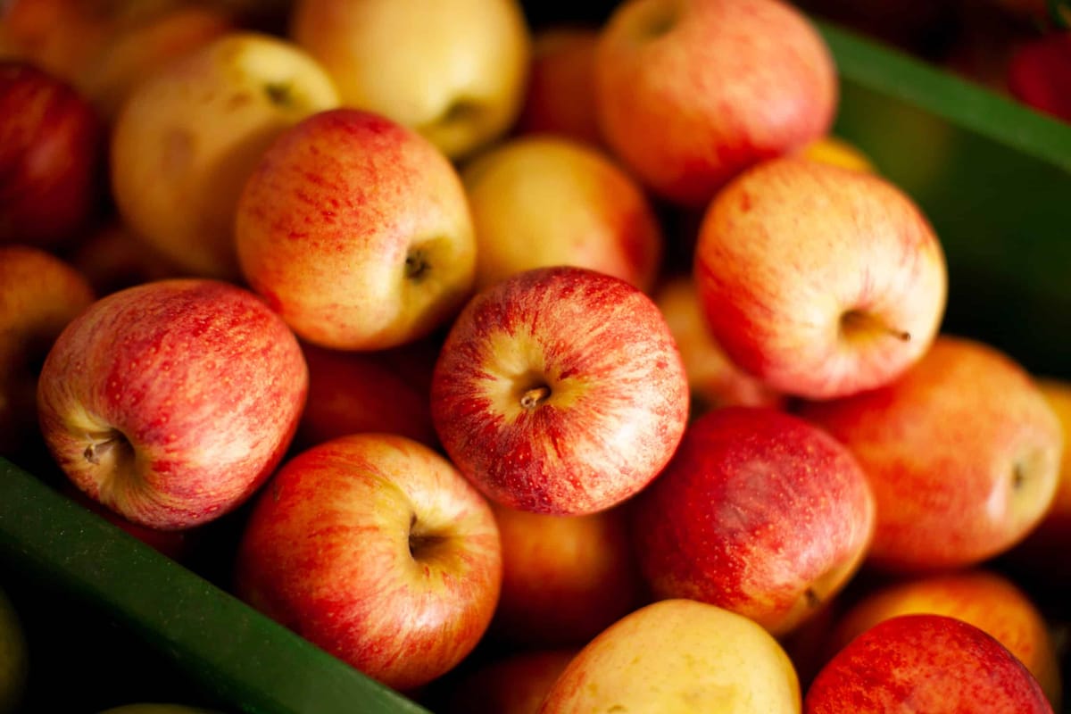 apples from the market at Jaemor Farms