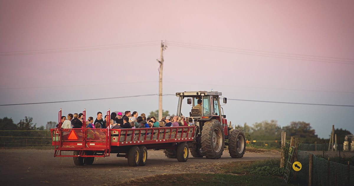 Linvilla Orchards — Pumpkins farm in Media, PA