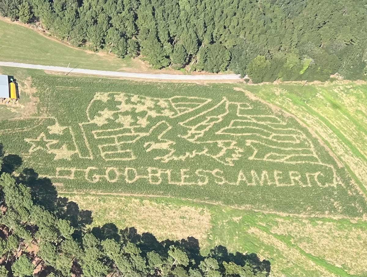 Mitchell Farms — Pumpkins farm in Collins, MS
