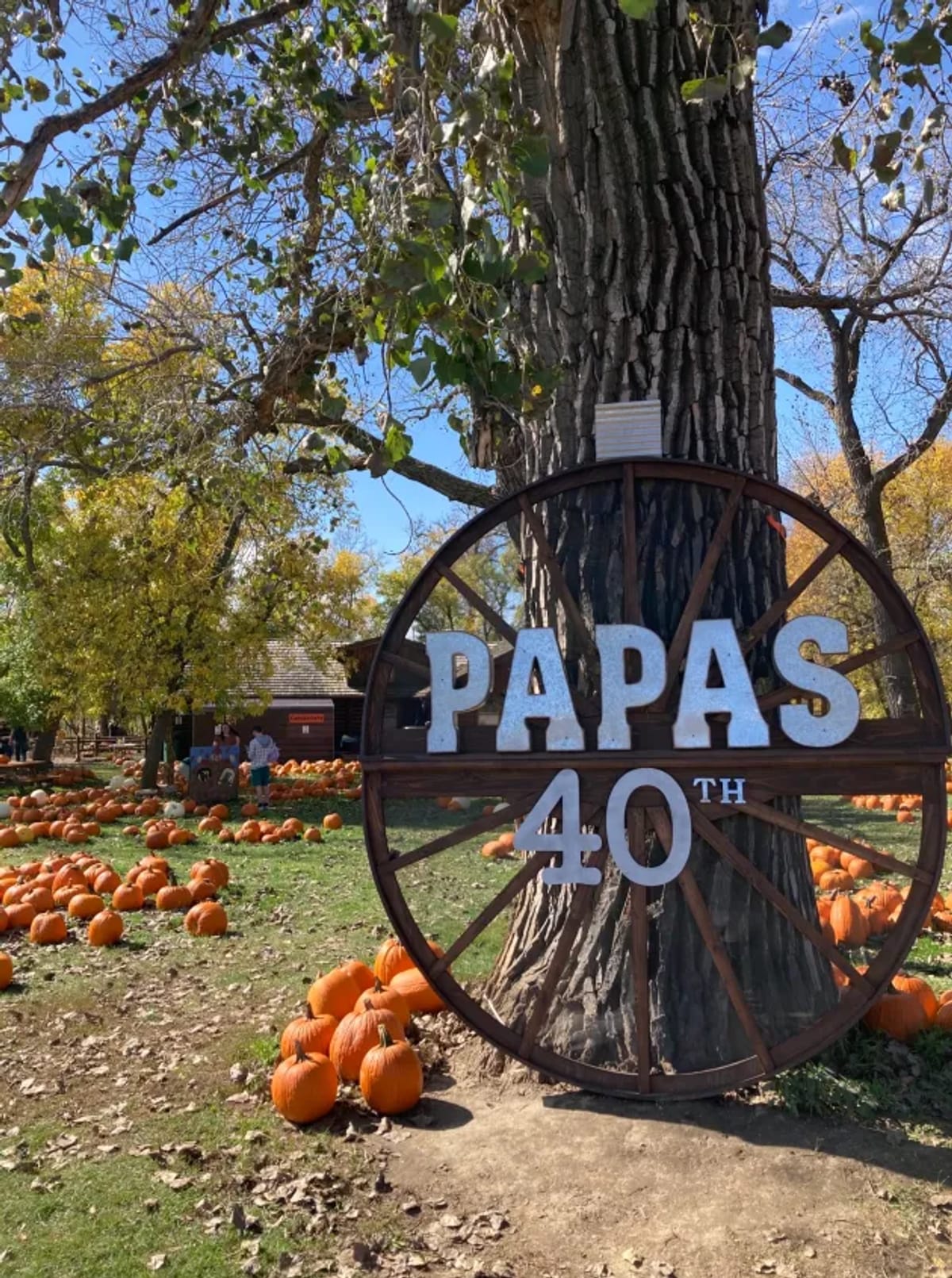 Papa's Pumpkin Patch photo 4