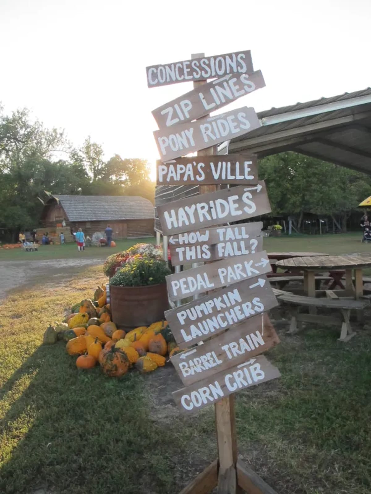 Papa's Pumpkin Patch photo 5