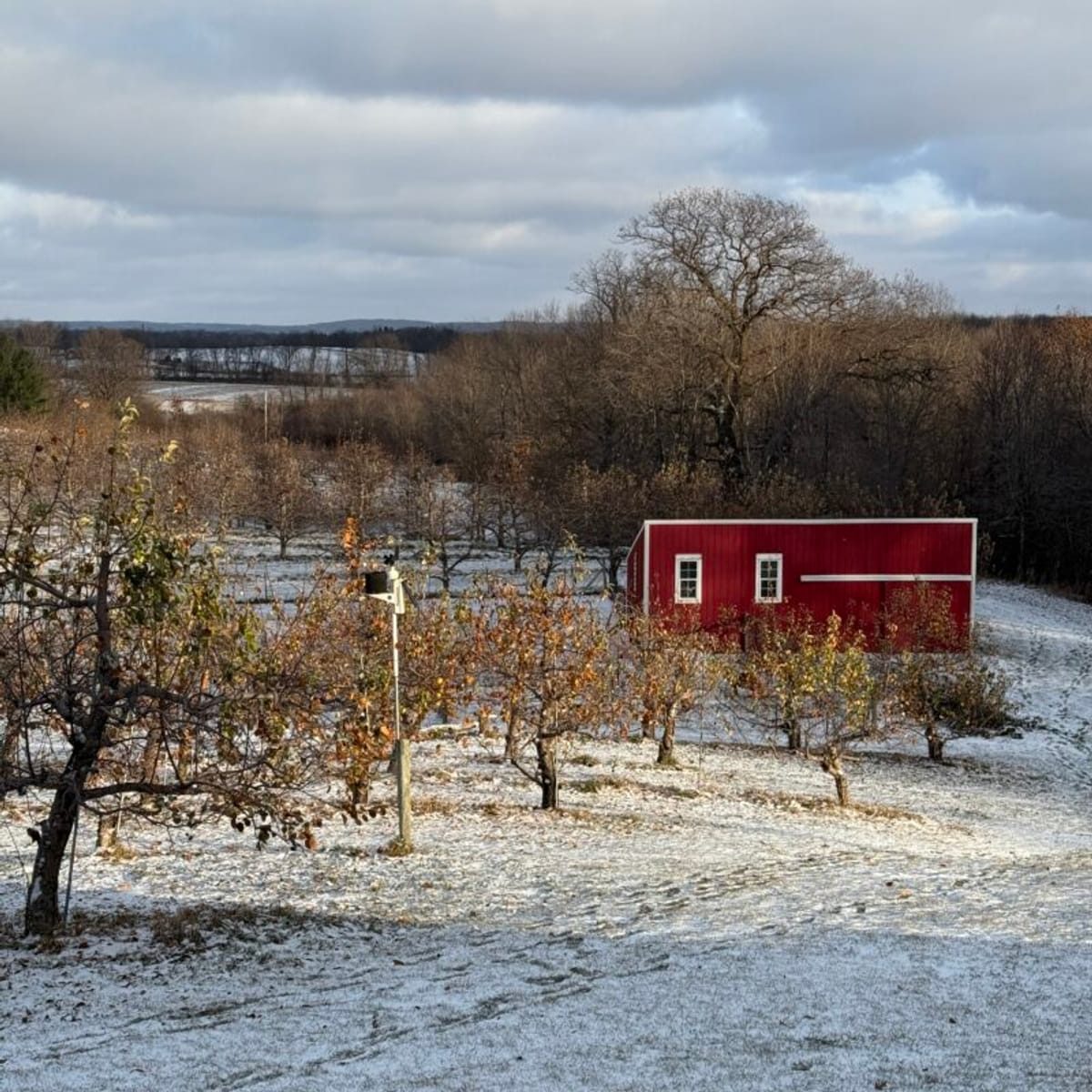 Pleasant Valley Orchard photo 5