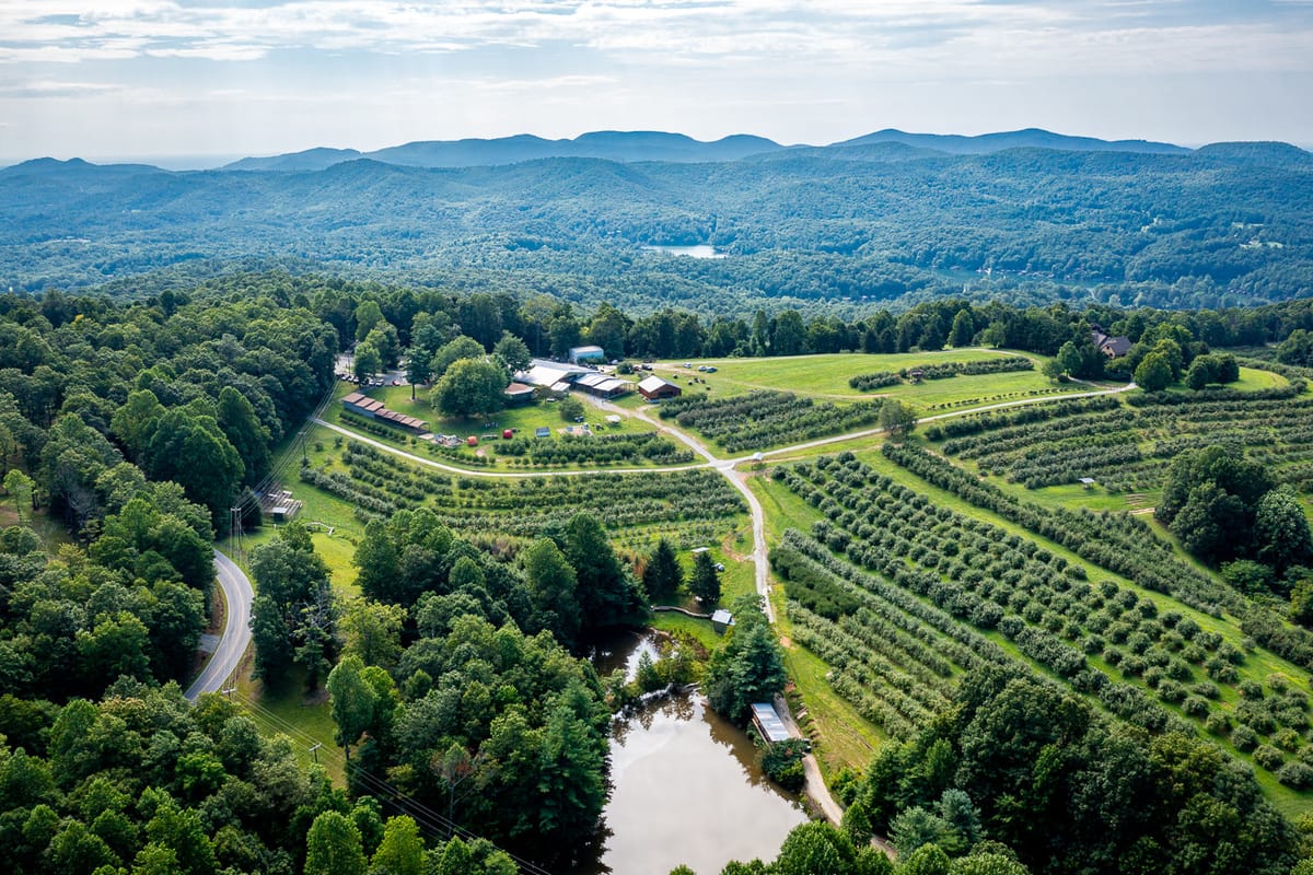 Sky Top Orchard — Apples farm in Flat Rock, NC