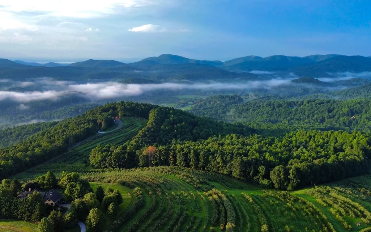 Sky Top Orchard photo 2