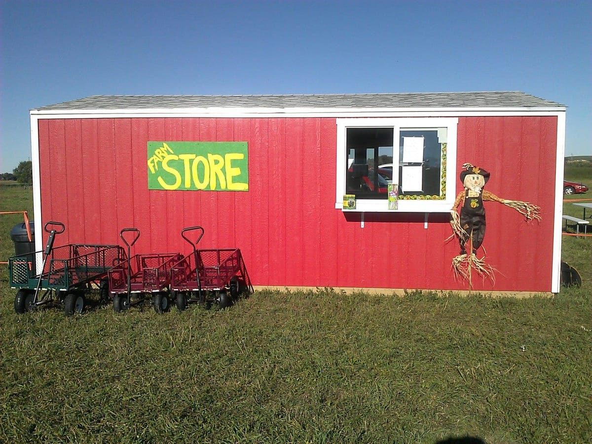 Spearfish Corn Maze & Pumpkin Patch — Pumpkins farm in Spearfish, SD