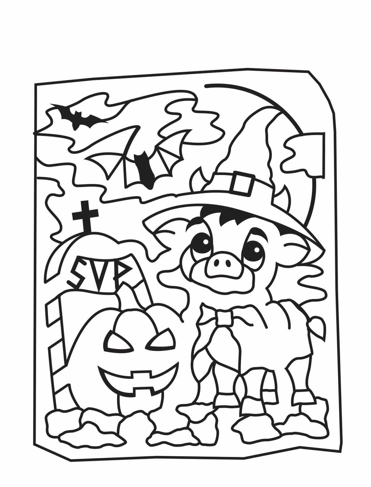 Spearfish Corn Maze & Pumpkin Patch photo 2