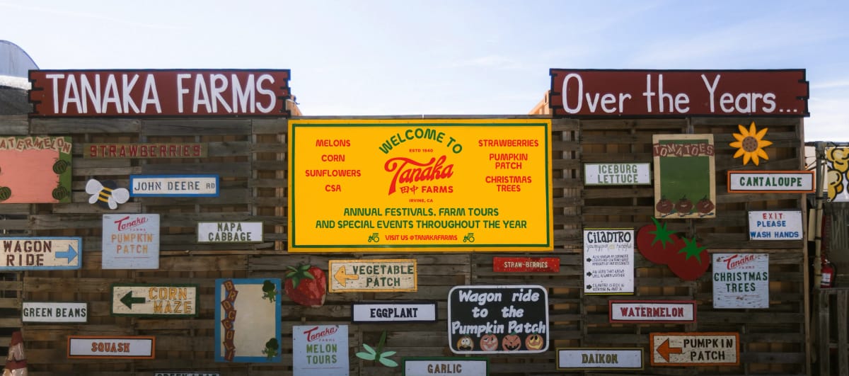 Tanaka Farms — Pumpkins farm in Irvine, CA