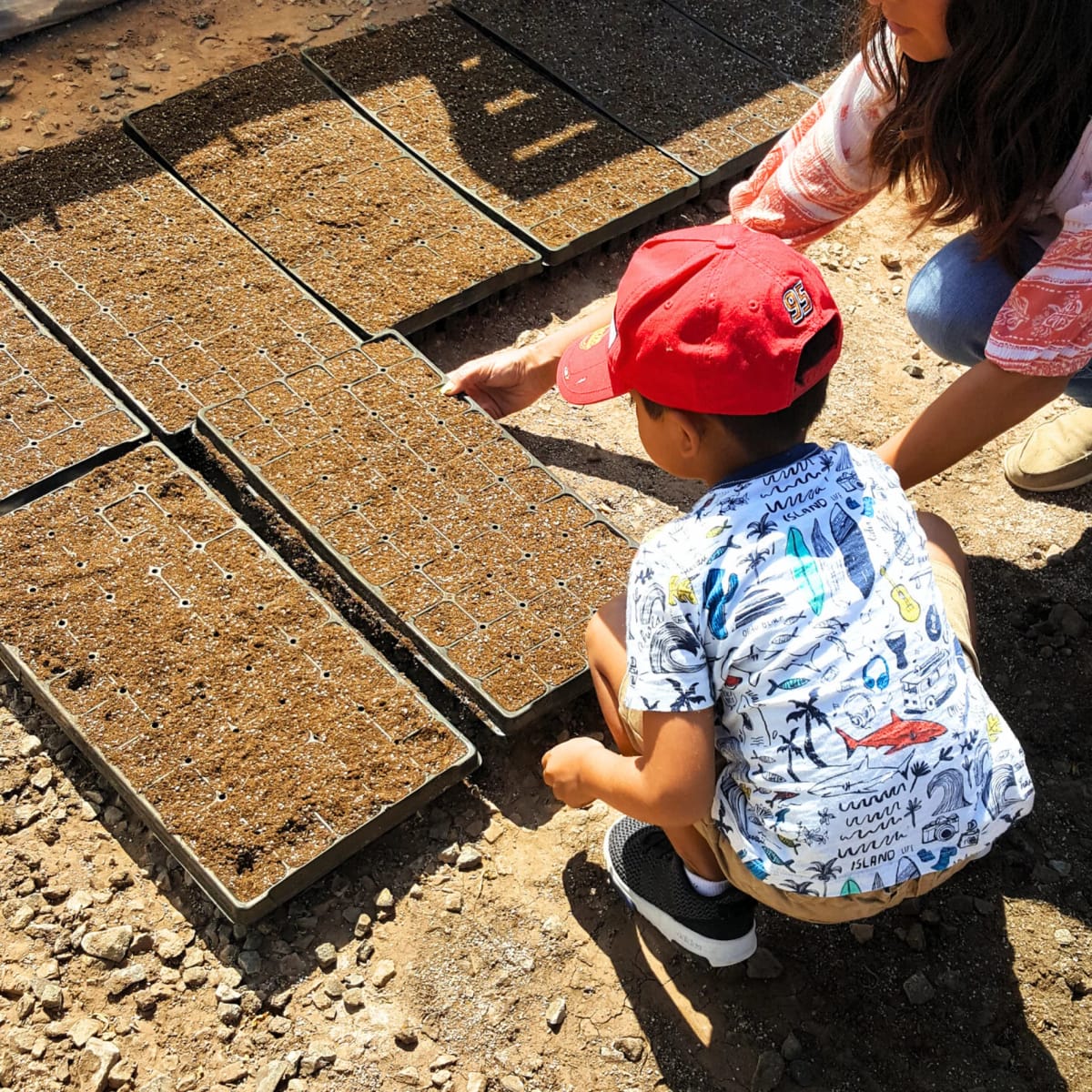Tanaka Farms photo 5