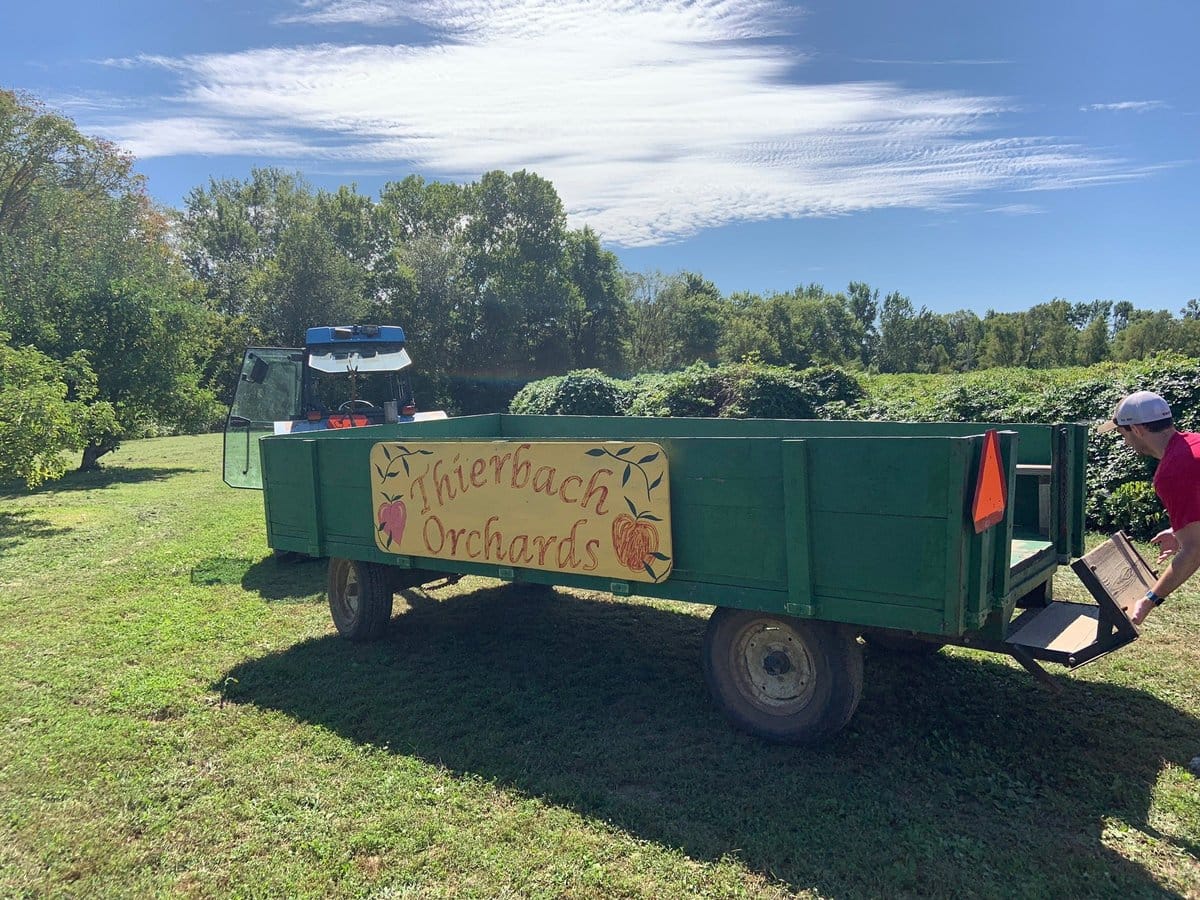 Thierbach Orchards & Berry Farm photo 3