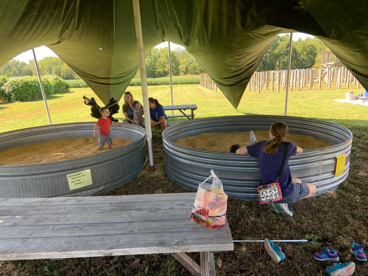 Thierbach Orchards & Berry Farm photo 4