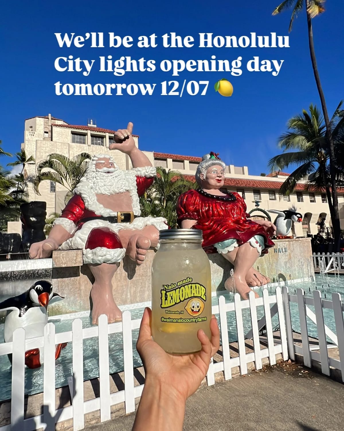 Come and see us at the Honolulu City Lights opening day tomorrow 12/07 from 4pm-10pm 🍋 

#waimanalocountryfarms #nalomadelemonade #honolulucitylights